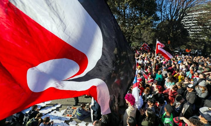 Leadership Changes at NZ's Pharmaceutical Agency Amid Concerns Over Māori Rights Policy Reversal