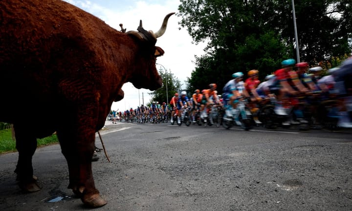 Live Report: Tour de France 2024 - Riders Battle Difficult Stage 12 towards Villeneuve-sur-Lot