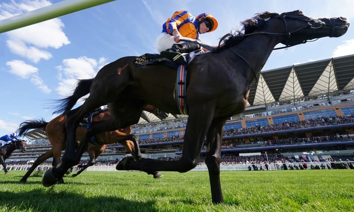 Potential Decline in Prominence: The Intergenerational Rivalry of King George's Talking Horses Showfaces Challenges Ahead
