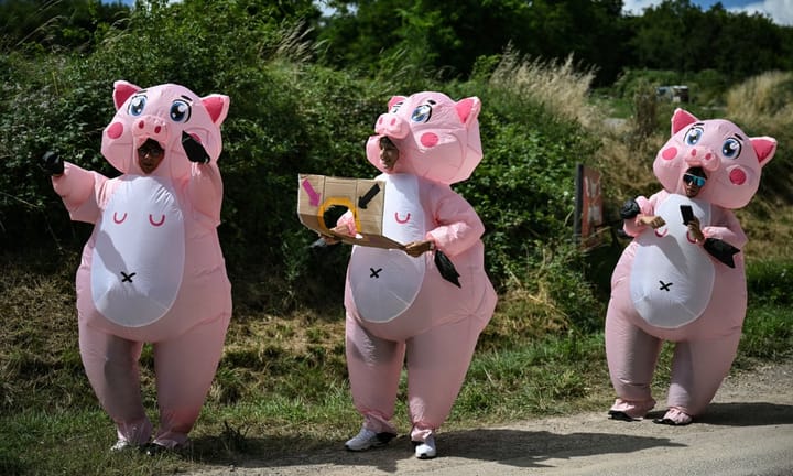 Fans of the 2024 Tour de France - dressed up and vividly depicted in photos