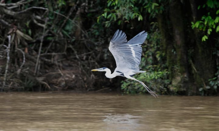 Court Declares Pollution in Capital's Rivers Breach of Residents' Rights