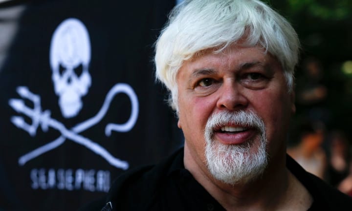 Whaling opponent and Sea Shepherd leader Paul Watson apprehended by authorities in Greenland