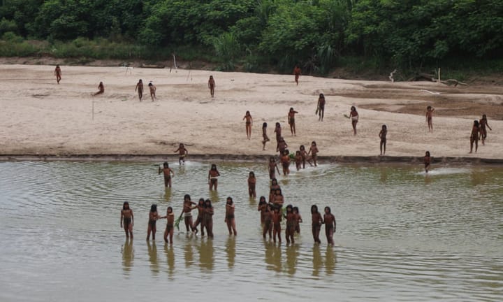 Indigenous group discovered amidst Peruvian rainforest logging sites