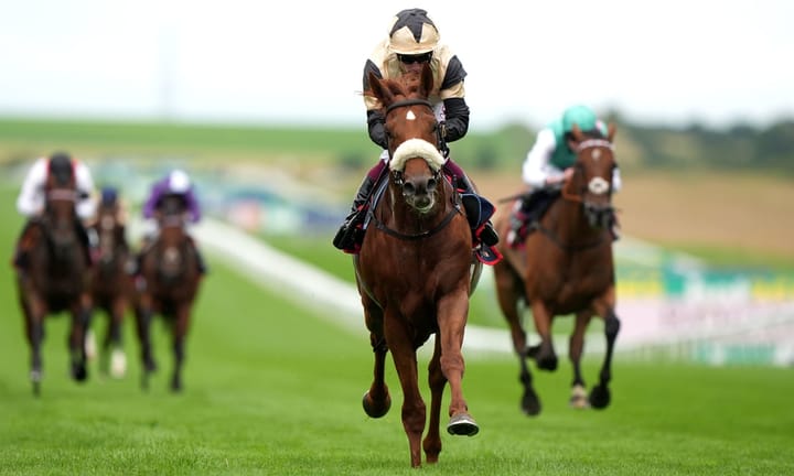 Giavellotto poised for Irish Champion Stakes triumph following standout victory at Newmarket