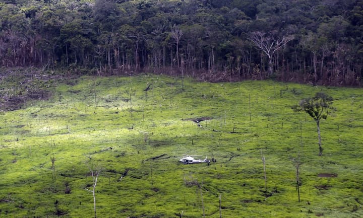 Deforestation rates in Colombia hit their smallest extent in two decades and more