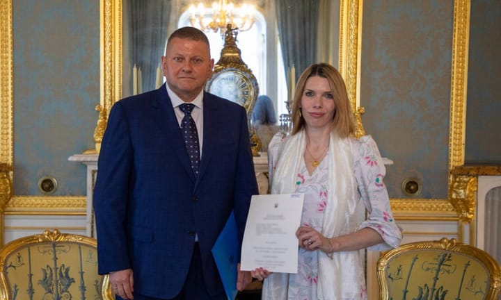 Brief on Ukraine conflict: Grain ship allegedly loaded with stolen goods apprehended; UK appoints new envoy, Zaluzhnyi.