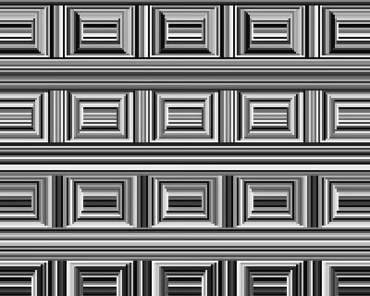 "Do upbringing and culture shape how we perceive shapes like circles and rectangles?"
