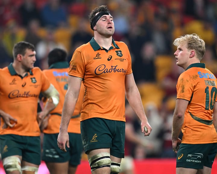 Lions Test defeat in 2009 sparked a fierce comeback