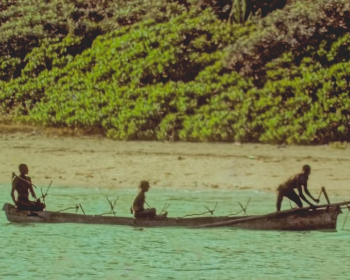 "India grapples with including isolated tribes in census count"