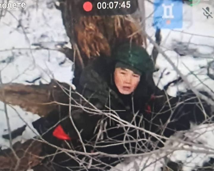 "North Korea's military evolves in Ukraine – why isn't Seoul speaking out?"