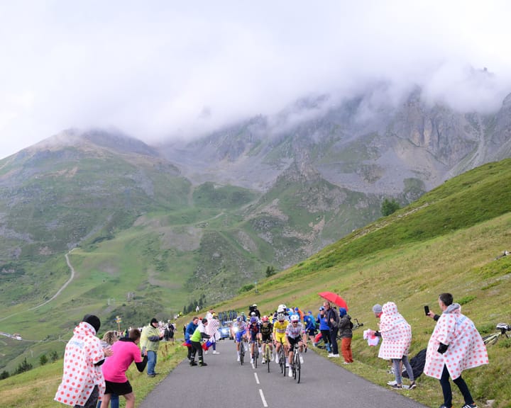 Tour de France 2025: stage 19 cut short after cattle illness en route to La Plagne