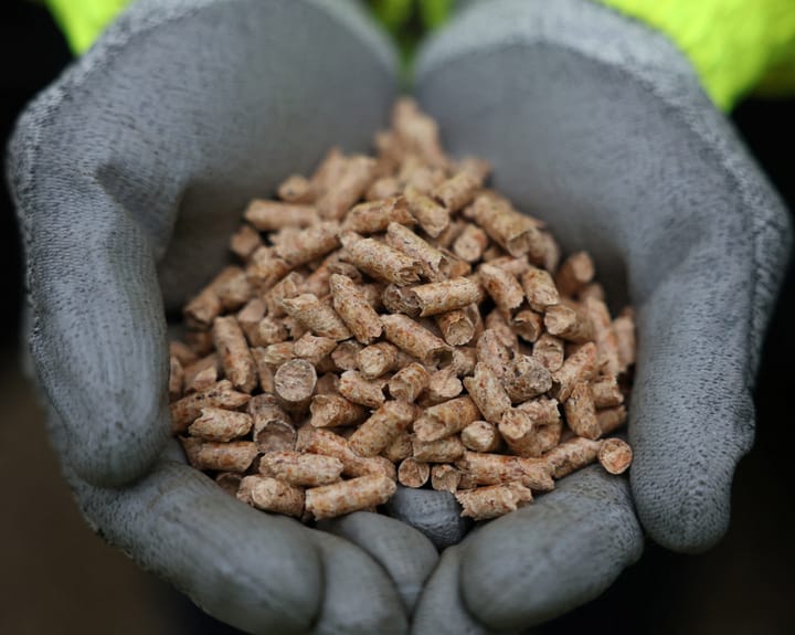 Drax faces probe into origins of its 'green' energy claims