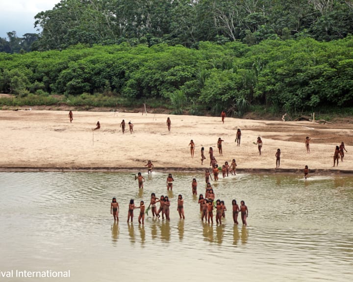 "Uncontacted Peruvian tribe faces lethal threat from logging, activists warn"