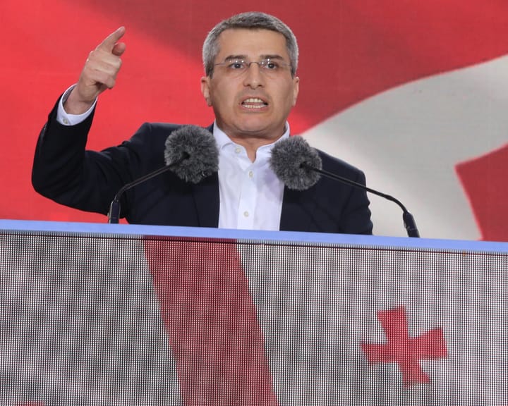"Georgia Names Mamuka Mdinaradze Security Chief Amid Authoritarianism Warning"