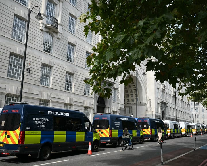 "Police detain protesters at banned Palestine Action rally in London"