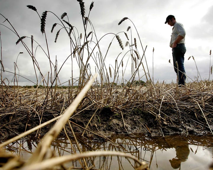 "UK's ruined harvests since 2020 cost a year's bread supply, study reveals"