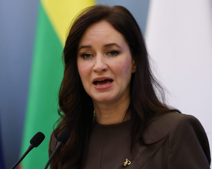 Lithuania shuts Belarus border as Vilnius airport halts flights due to balloons