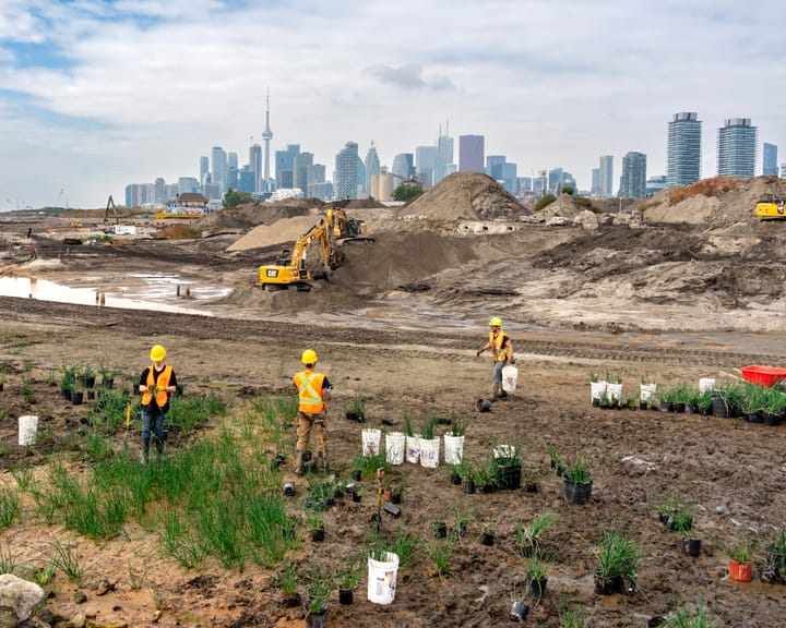Century-old soil creatures revive at Toronto waterfront