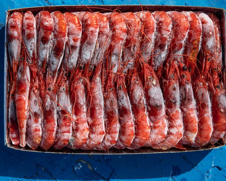 "Toxic shrimp spark alarm in Indonesia's polluted industrial area"