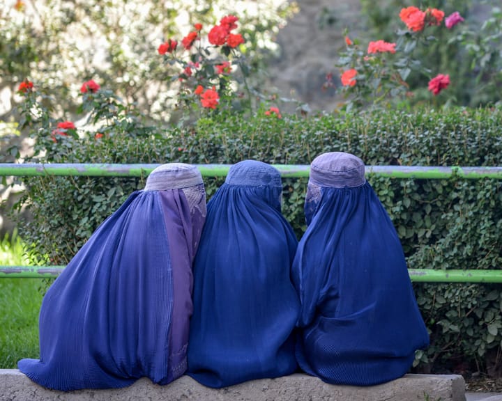 Portugal's parliament passes controversial burqa ban, critics say it singles out Muslim women