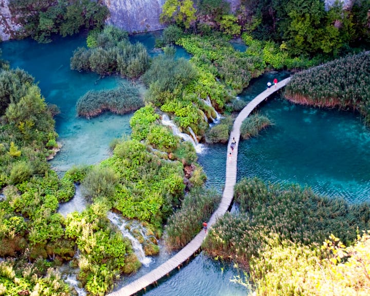 "Intrepid Travel abandons carbon offset and emission reduction goals"