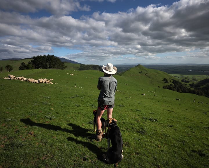 Young NZ Farmers Toil the Soil But Seldom Own the Land
