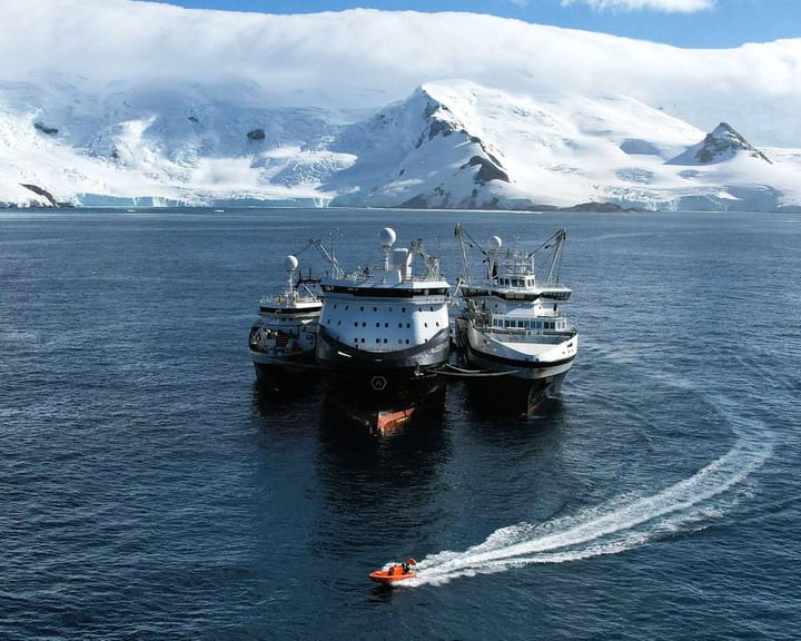 World’s biggest krill harvester at the center of a dispute over the ‘blue tick’ sustainability label