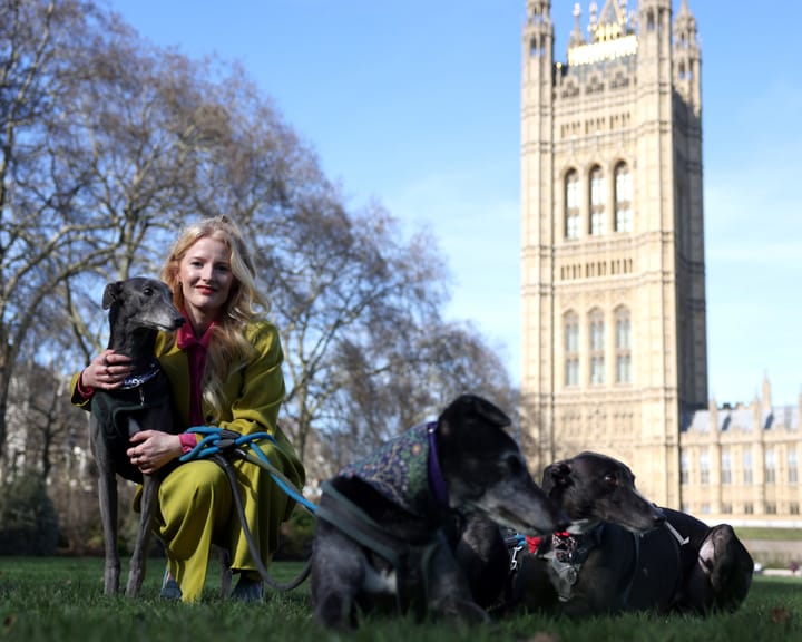 New Green MP says Farage, echoing his hero Trump, derided the by‑election results.