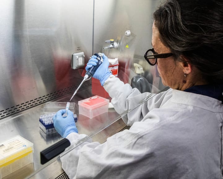 Argentina seeks source of cruise ship hantavirus outbreak as infected passengers head back to US