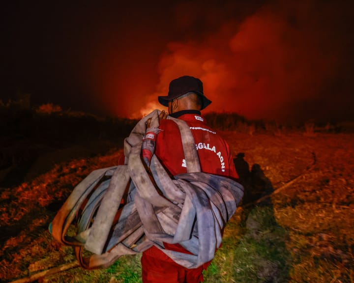 El Niño-driven wildfires ravage Indonesia's precious forests – in pictures