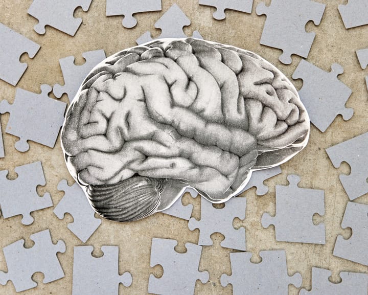 Let Your Mind Roam, Skip Retirement, and Quit Fretting: Unexpected Strategies to Shield Your Brain from Cognitive Decline
