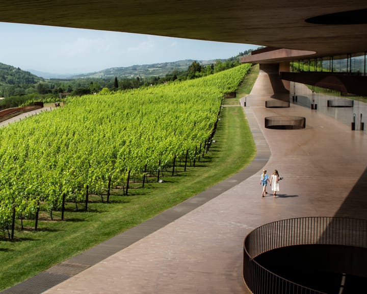 Criminals steal €5m from renowned Italian winery